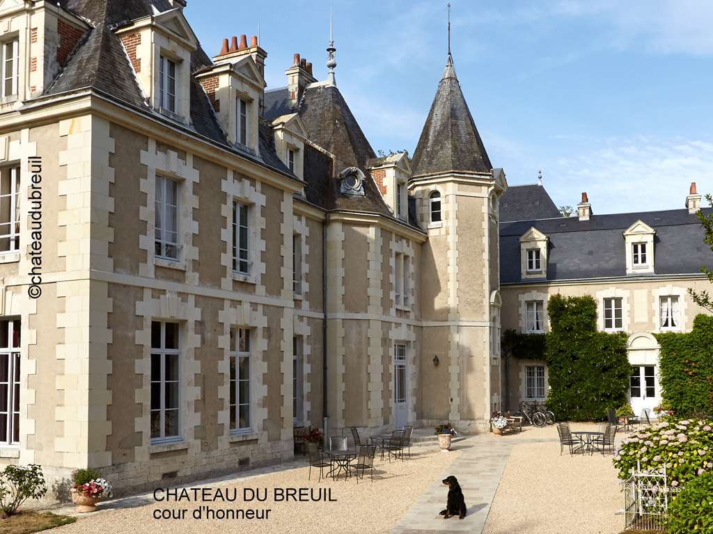Chateau Du Breuil Cheverny Exteriér fotografie